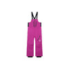 25/26BURTON雪服M AK GORE-TEX CYCLIC BIB WILD ASTER 商品缩略图0