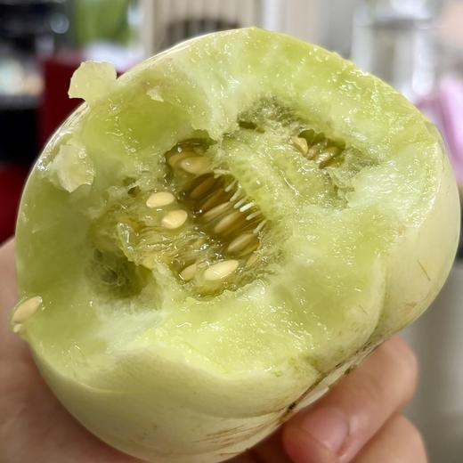 生态甜瓜（福建）| 合作生产*eco-melon | Partner Production 商品图1