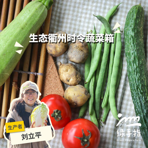 生态衢州时令蔬菜箱 (包邮陆运，含番茄四季豆等) | 绿家自产 * Ecological vegetable box | In-House Production 商品图0