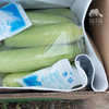 生态水果玉米（福建）| 合作生产*Ecological vegetables | Partner Production 商品缩略图4