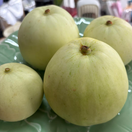 生态甜瓜（福建）| 合作生产*eco-melon | Partner Production 商品图2
