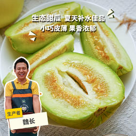 生态甜瓜（福建）| 合作生产*eco-melon | Partner Production