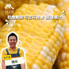 生态水果玉米（福建）| 合作生产*Ecological vegetables | Partner Production 商品缩略图0