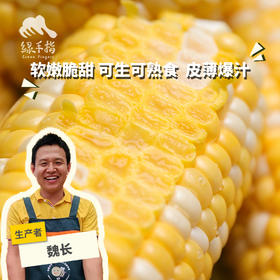 生态水果玉米（福建）| 合作生产*Ecological vegetables | Partner Production