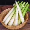 精选茭白米 约280g-300g 买放心菜就上瑞和泰 商品缩略图0