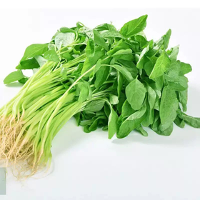 嫩嫩白苋菜头 约220g-250g 买放心菜就上瑞和泰