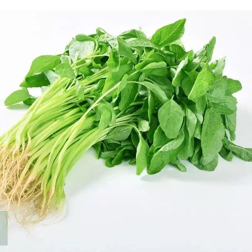 嫩嫩白苋菜头 约220g-250g 买放心菜就上瑞和泰 商品图0