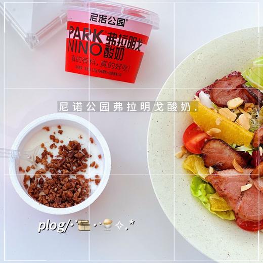 弗拉明戈酸奶 商品图5