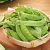 荷兰豆 约220g-250g 买放心菜就上瑞和泰 商品缩略图0
