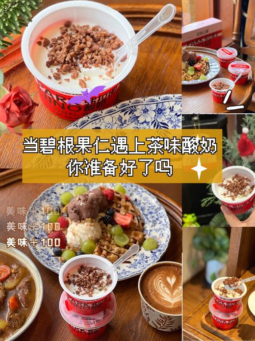 弗拉明戈酸奶 商品图7