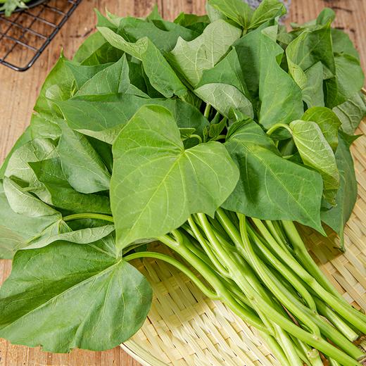 嫩嫩红薯叶 约220g-250g 买放心菜就上瑞和泰 商品图0
