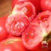 【9-9.5折优惠】生态河南西红柿 | 合作生产*Eco- tomato | Coprodution 商品缩略图2
