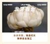 高州特级桂圆肉 商品缩略图7