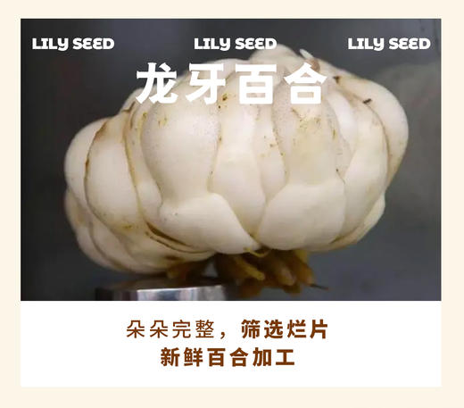 高州特级桂圆肉 商品图7