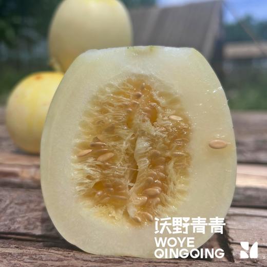 沃野青青自产甜瓜  绿宝石/星甜24/玉菇 | 清香型甜，满屋瓜香，可以带皮吃的甜瓜 商品图2
