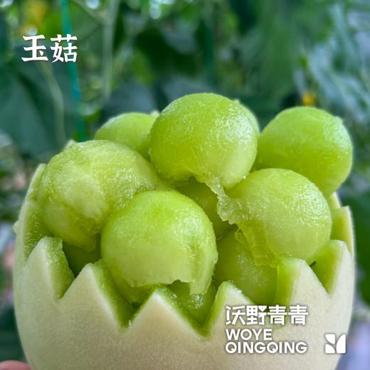 沃野青青自产甜瓜  绿宝石/星甜24/玉菇 | 清香型甜，满屋瓜香，可以带皮吃的甜瓜 商品图10