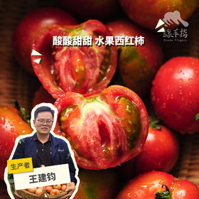 有机云南草莓西红柿 | 合作生产*Eco- tomato | Partner Production