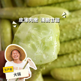 生态白玉黄瓜 | 绿家自产* ecological fruit cucumber | Self-production
