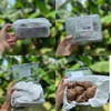 有机鲜香菇 | 绿家自产 * Organic tea shitake | Self-production 商品缩略图6