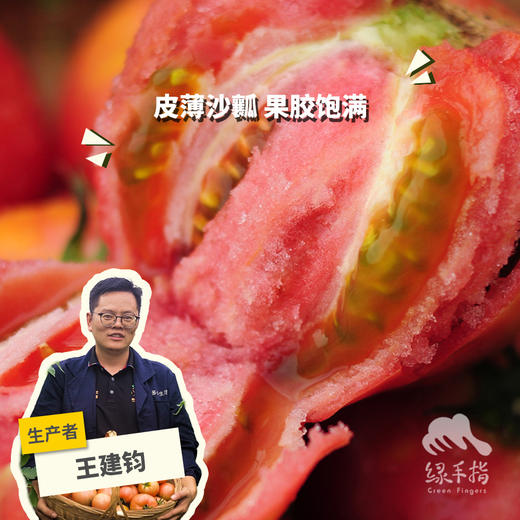 有机云南瑞粉西红柿 | 合作生产*Organic tomato | Partner Production 商品图0