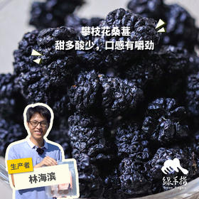生态桑葚干（攀枝花桑葚） | 绿家自产*Eco-dried mulberries | In-House Production