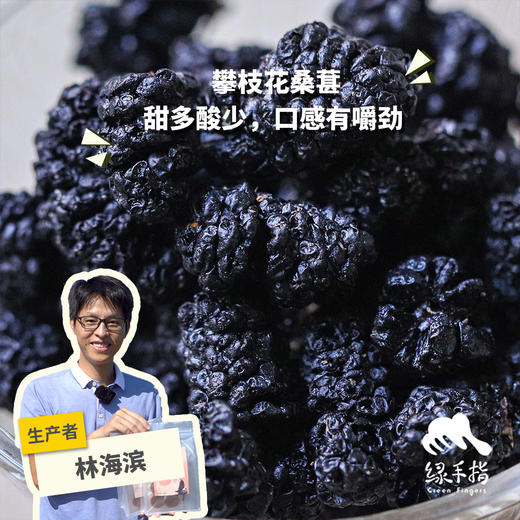 生态桑葚干（攀枝花桑葚） | 绿家自产*Eco-dried mulberries | In-House Production 商品图0