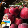 有机红桃（预售，预计6月8日起开始发货） | 合作生产 *Organic red peach | Partner Production 商品缩略图0