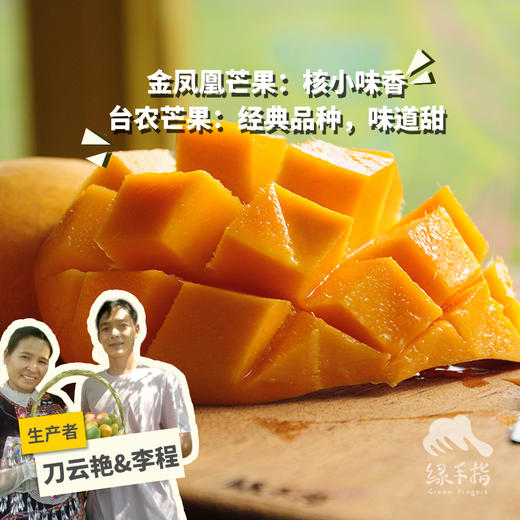 生态曼来芒果（限时优惠20元） | 合作生产 *Eco- mango | Partner Production 商品图0