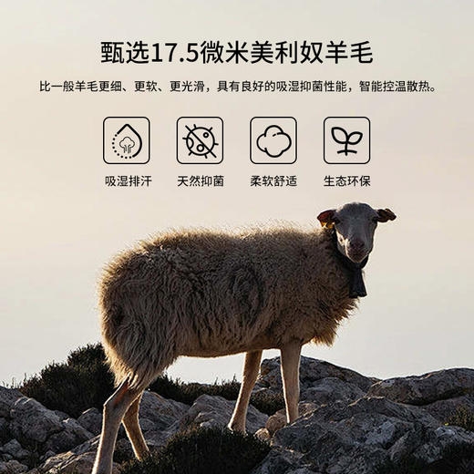 灰壳夏季美利奴天丝羊毛速干衣女户外徒步运动T恤 商品图3