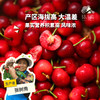 生态四川小金樱桃 |合作生产* Ecological  cherry ｜Partner Production 商品缩略图0