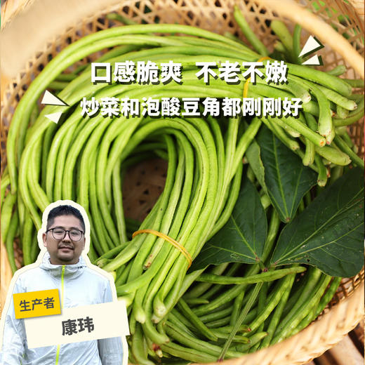 生态豇豆角（安徽）| 合作生产 * Ecological Chinese long bean | Coproduction 商品图0