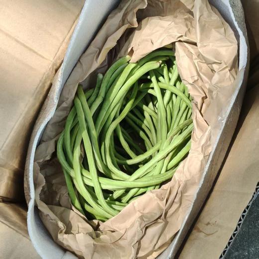生态豇豆角（安徽）| 合作生产 * Ecological Chinese long bean | Coproduction 商品图3