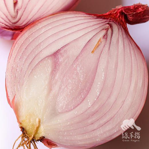 生态河南洋葱 | 合作生产* Eco- onion | Coproduction 商品图2