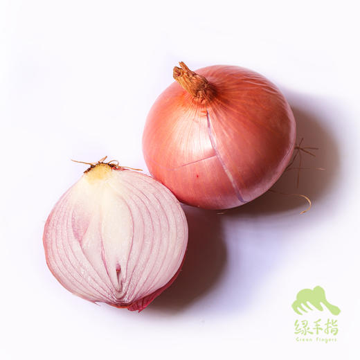 生态河南洋葱 | 合作生产* Eco- onion | Coproduction 商品图4