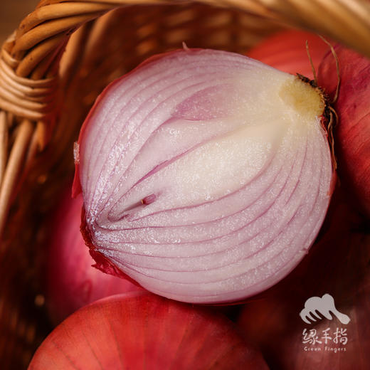 生态河南洋葱 | 合作生产* Eco- onion | Coproduction 商品图3