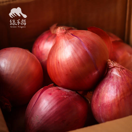 生态河南洋葱 | 合作生产* Eco- onion | Coproduction 商品图5