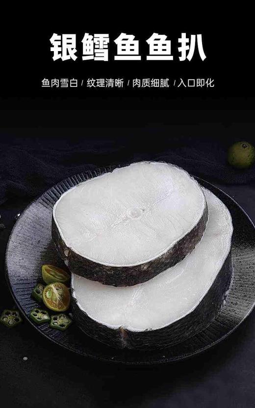 法国一条鱼银鳕鱼 商品图0