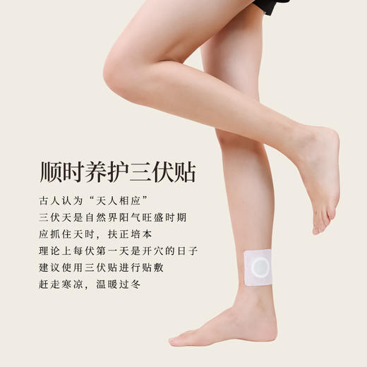 正安 冬恙夏养三伏贴 5贴/袋*4袋/盒【不叠加其他活动】 商品图2