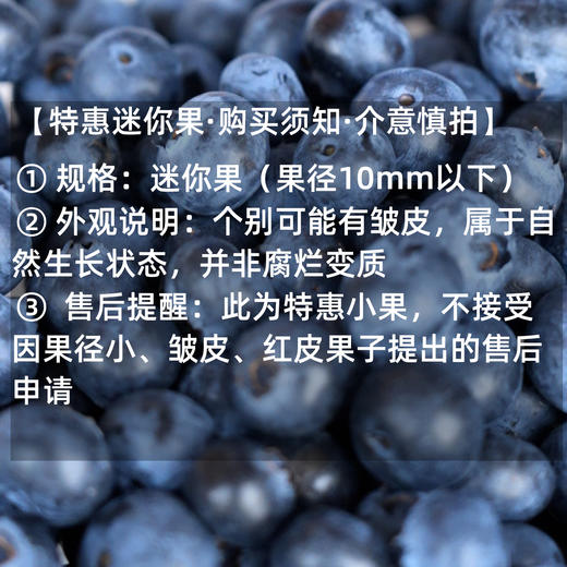 【迷你果特惠4斤】生态蓝莓（云南大理/昆明） | 合作生产*Ecological Blueberries | artner Production 商品图1