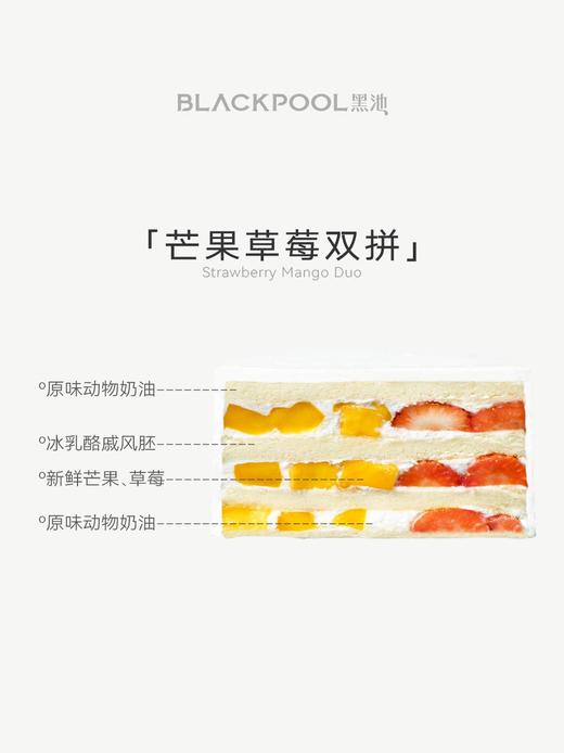 小王子 商品图7