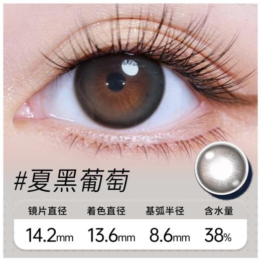 夏黑葡萄 半年抛美瞳 MB02BA 商品图0