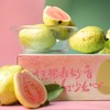 生态四季水果份额| 合作生产*Green Fingers·Nature's Rhythm|  Partner Production 商品缩略图4