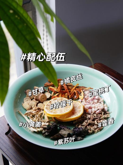 紫苏饮 国民凉茶 商品图2