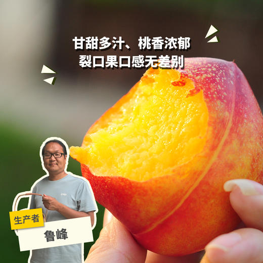 生态油桃 | 合作生产 *Eco nectarine | Partner Production 商品图0