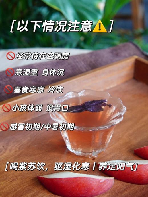 紫苏饮 国民凉茶 商品图3