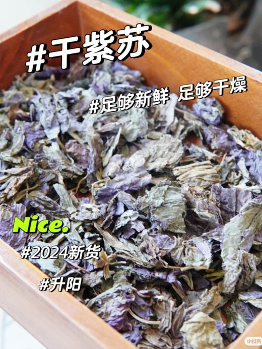 紫苏饮 国民凉茶 商品图5