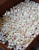 紫苏饮 国民凉茶 商品缩略图10