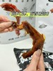老卤鸭翅/鸡脚筋/鸭爪 商品缩略图12