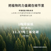 正安 九子包暖足贴 温暖你的足部 防止寒气入侵 秋冬暖贴好物 温阳草本研磨 4小时恒温发热 九子包暖足贴 5袋/盒（有效期至27年1月11日） 商品缩略图10