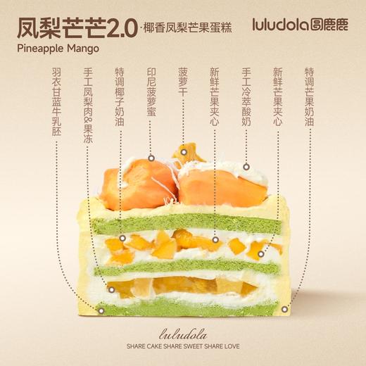 凤梨芒芒2.0 商品图1